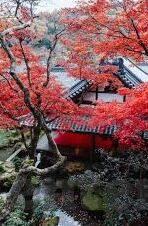 澳门炸金花棋牌游戏-澳门炸金花棋牌游戏，一种古老而充满魅力的博弈艺术